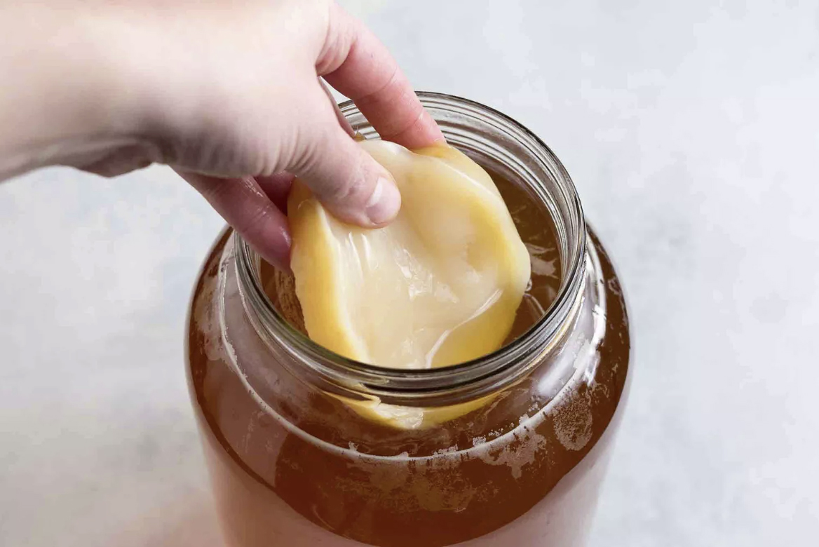 La Kombucha e lo scoby